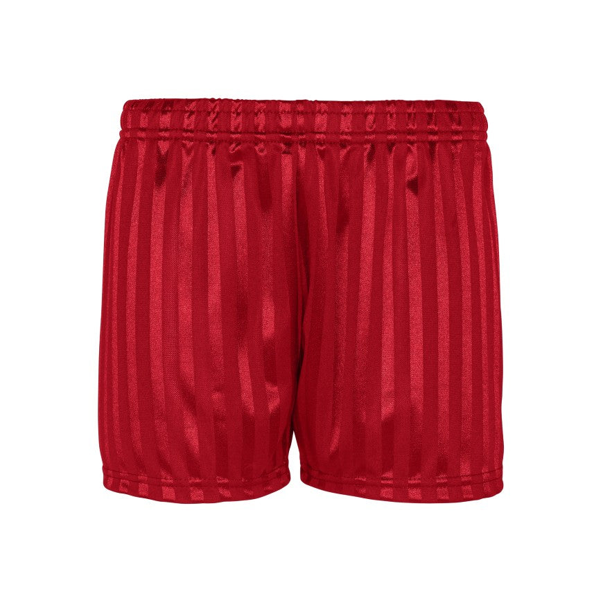 Children's Shadow Stripe P.E Shorts